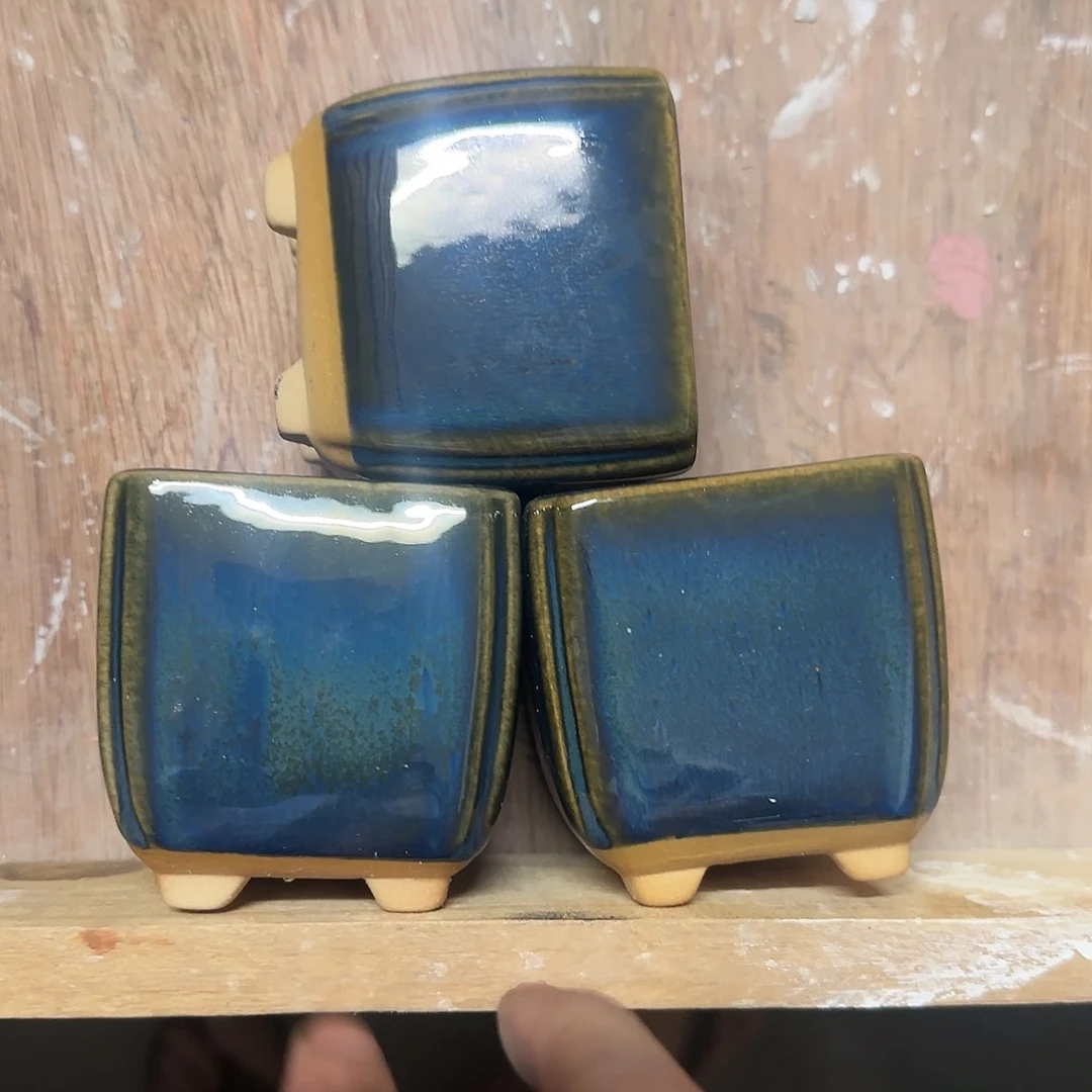 3个福利局绿植多肉盆［凑9元包邮24小时发］