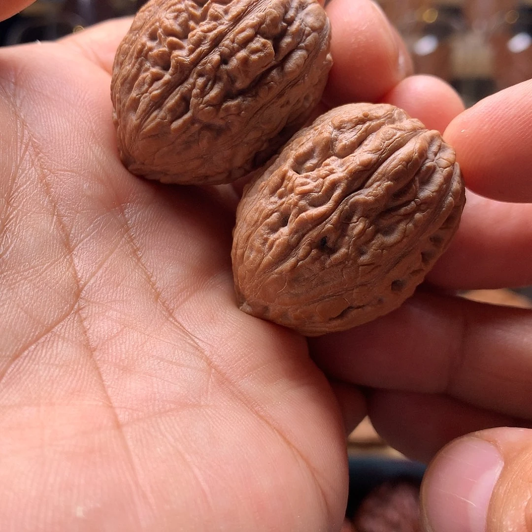 把件文玩核桃东北楸子文玩核桃