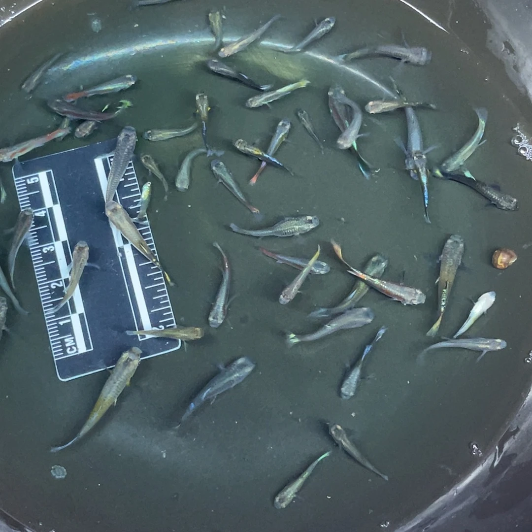 海星1-2号哈哈哈哈哈哈