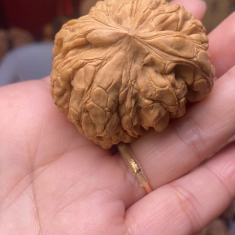 合***实把件文玩核桃核桃