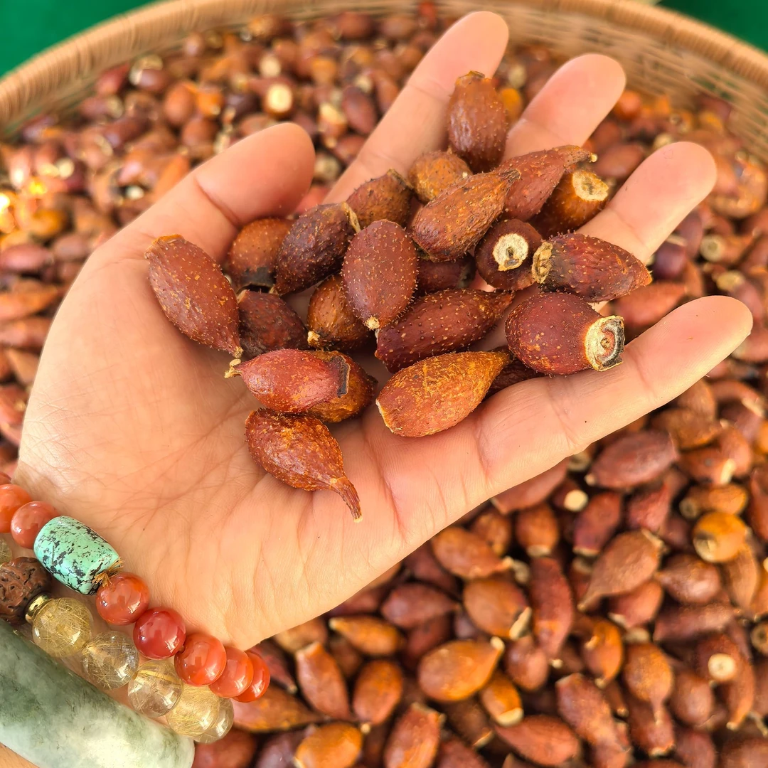 野生金樱子茶（没去籽的）