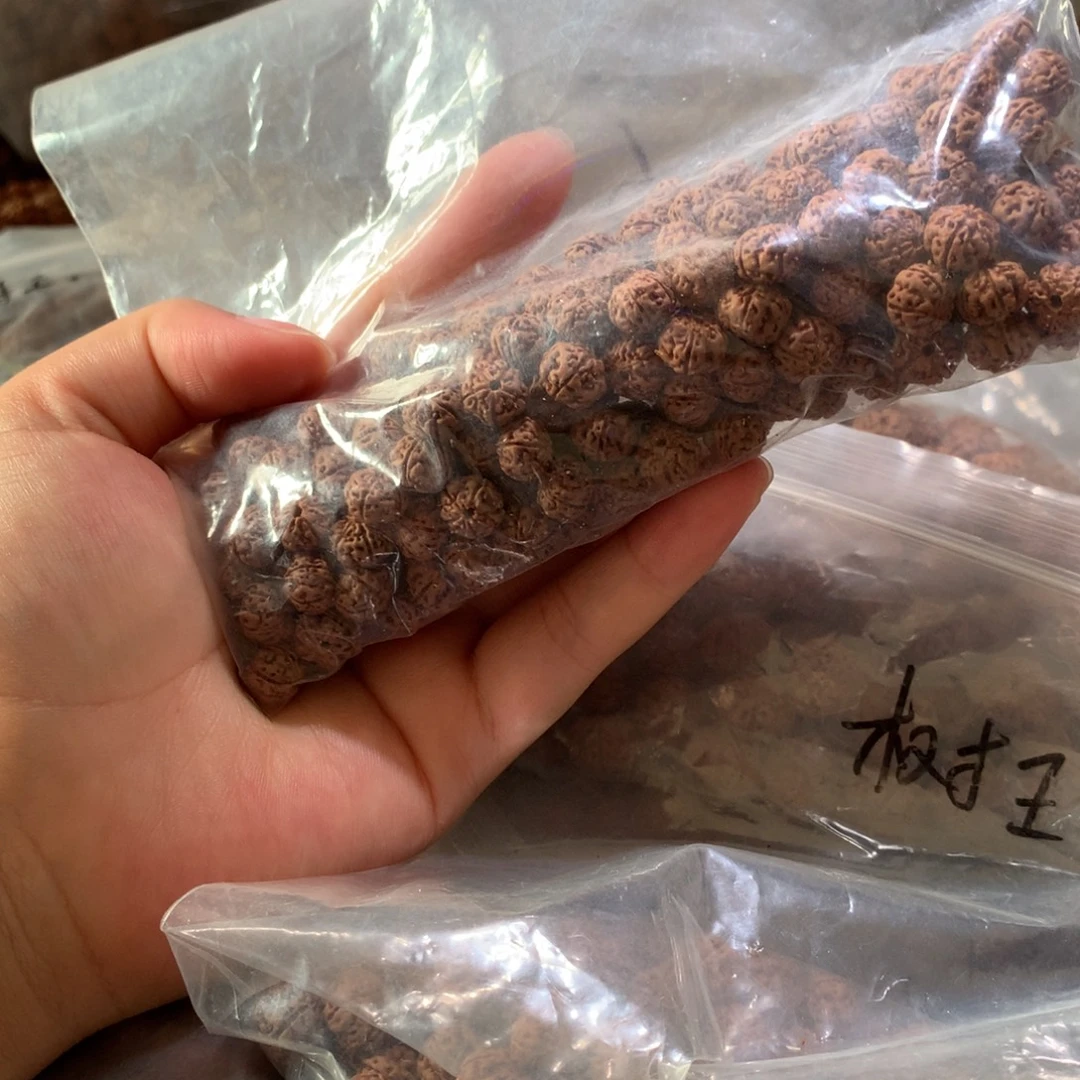 吊坠金刚菩提老树王9尺寸1