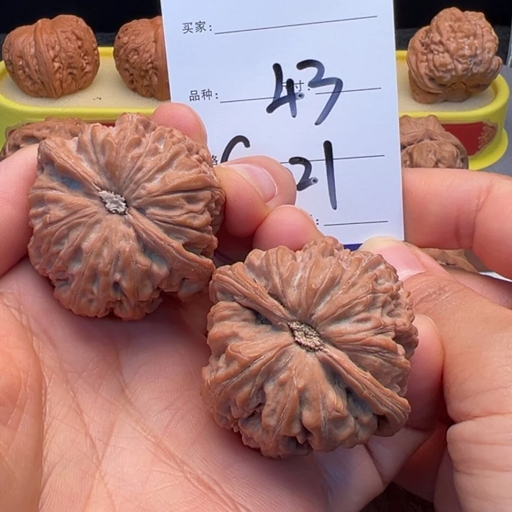 爱***莹文玩核桃把件大粗筋C2021