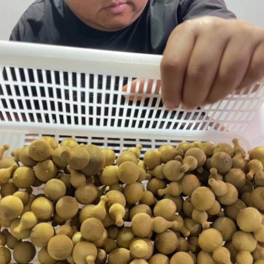大叶紫檀（黑酸枝木类）