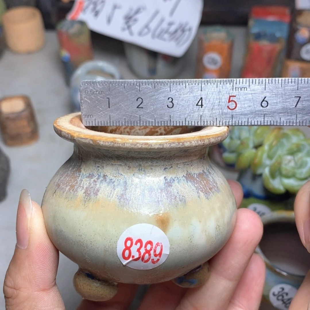拍5送一个小礼物