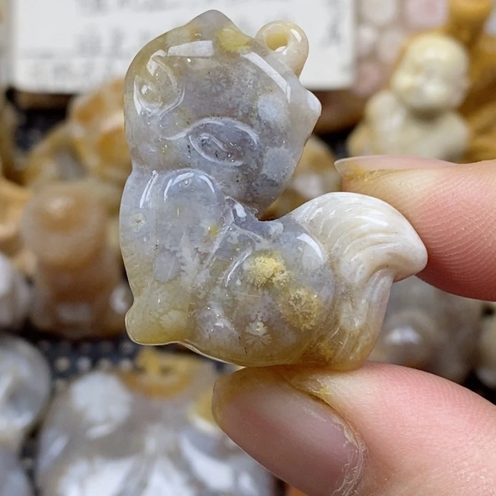 颈饰未镶嵌硅化珊瑚（珊瑚玉）小