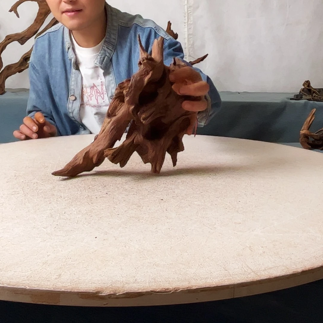 沉木造景爬宠造景