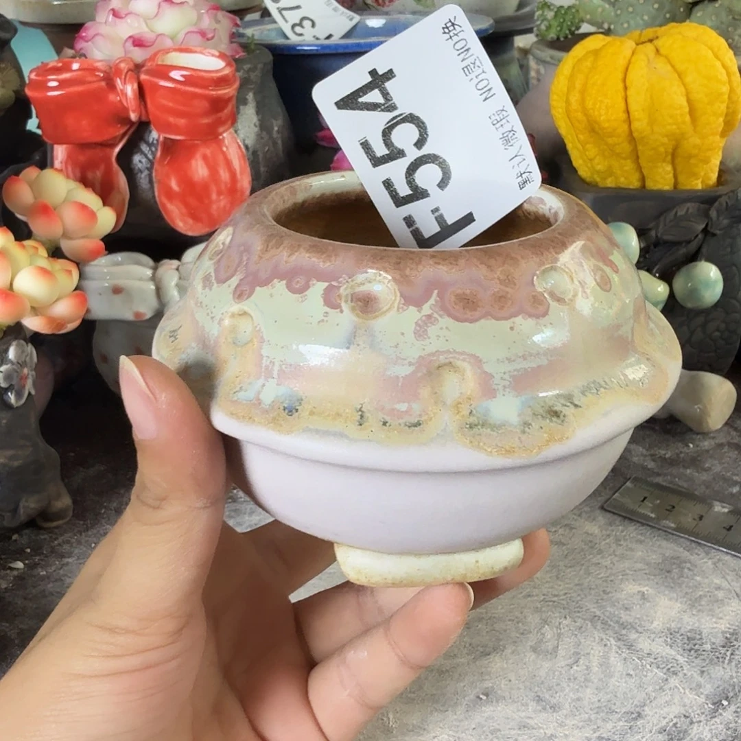 重庆小燕子欢迎大家554