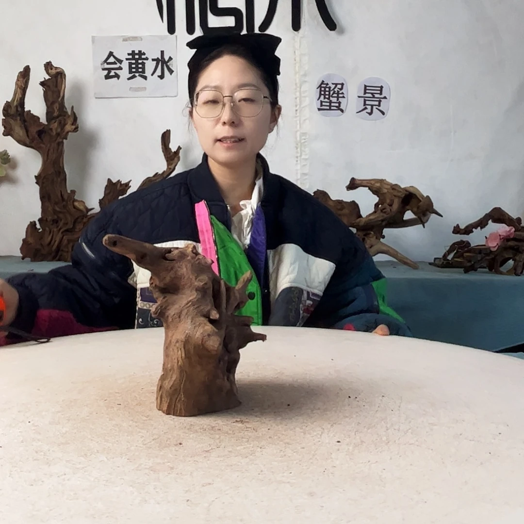 沉木造景爬宠造景