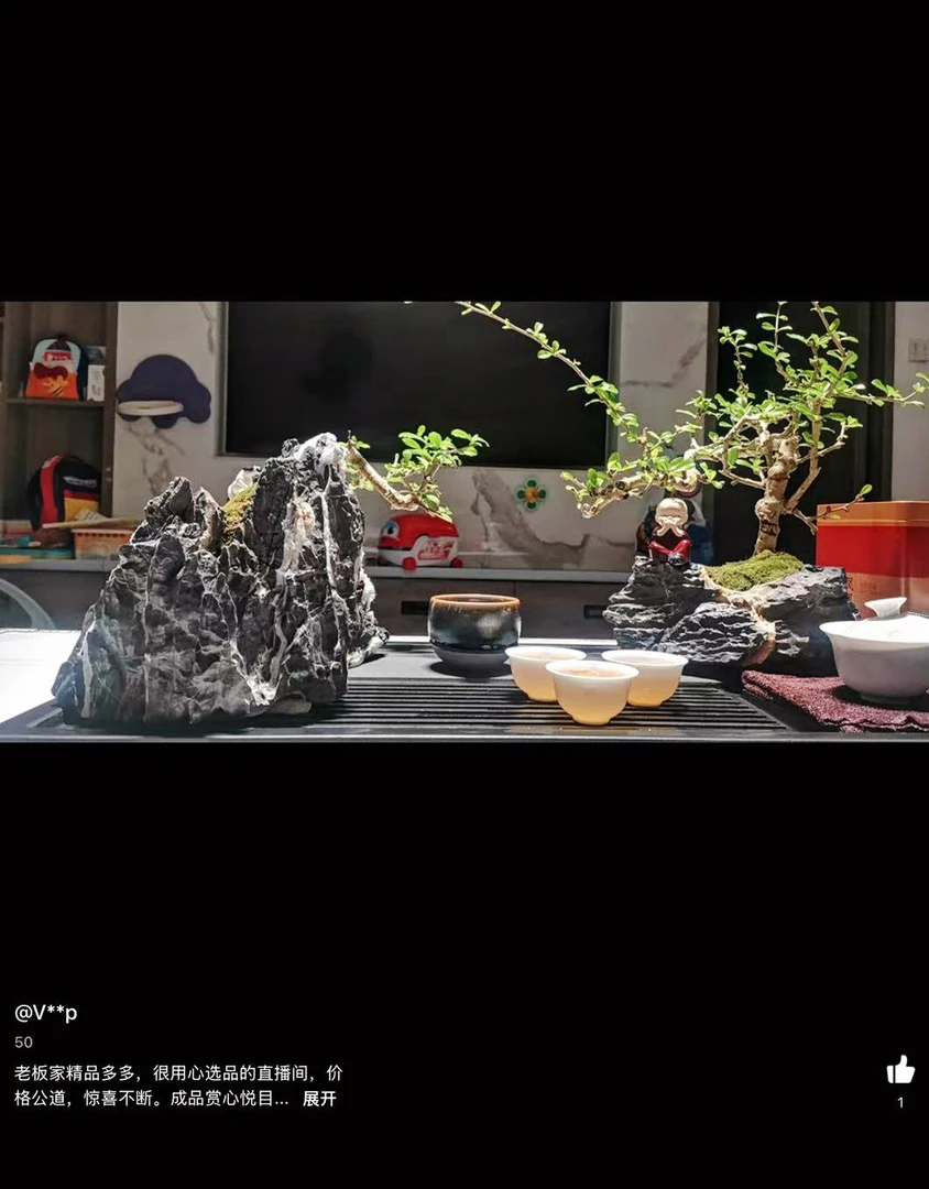 原生态石头多肉花盆天然石植物盆灵璧石观赏石创意微景观