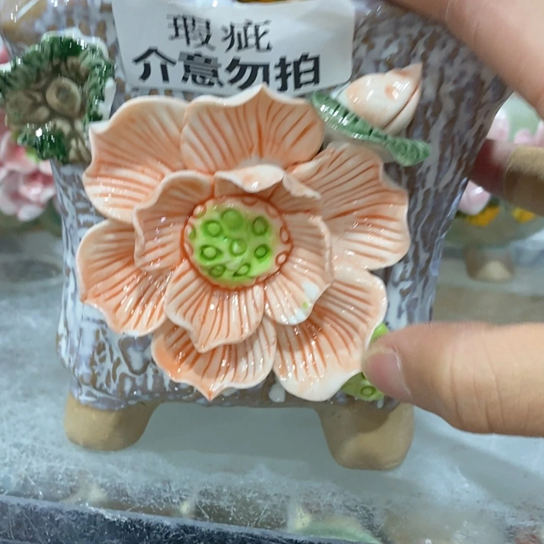 【闪购商品】红陶福利