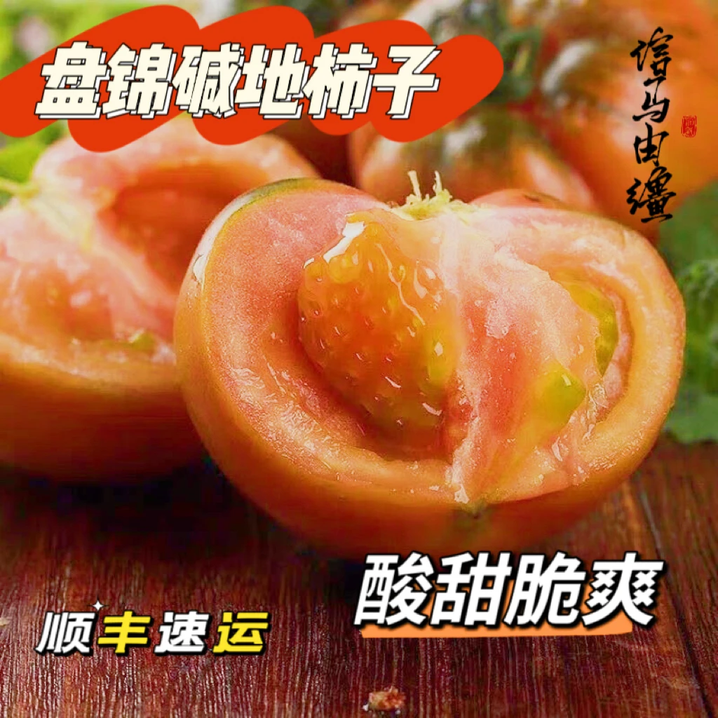 盘锦碱地西红柿（5斤装单果40克以上）