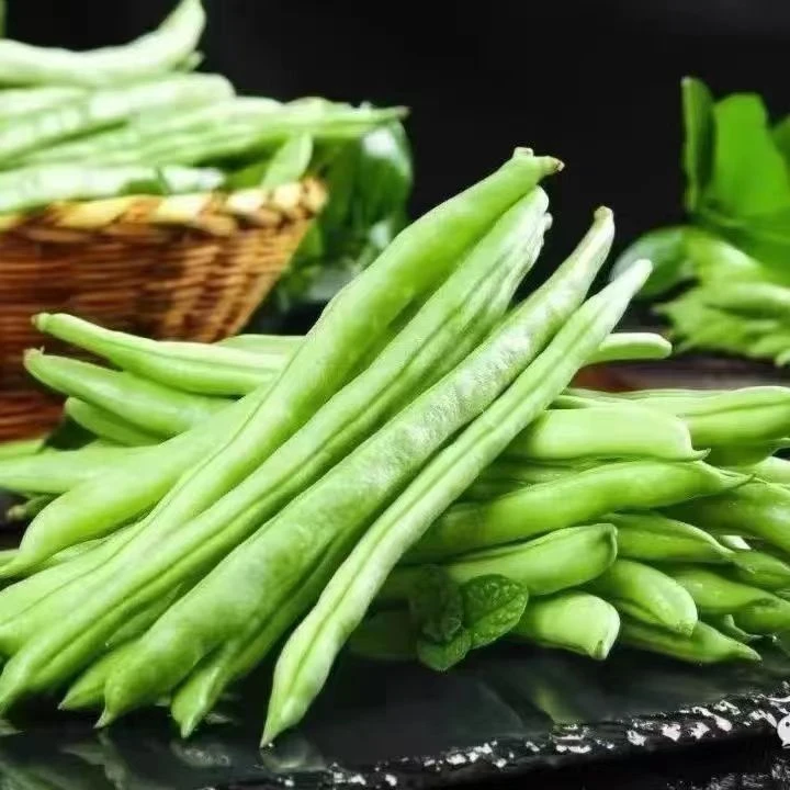【云南新鲜四季豆】农家豆角长豆角四季豆小金豆自种蔬菜应季豆子