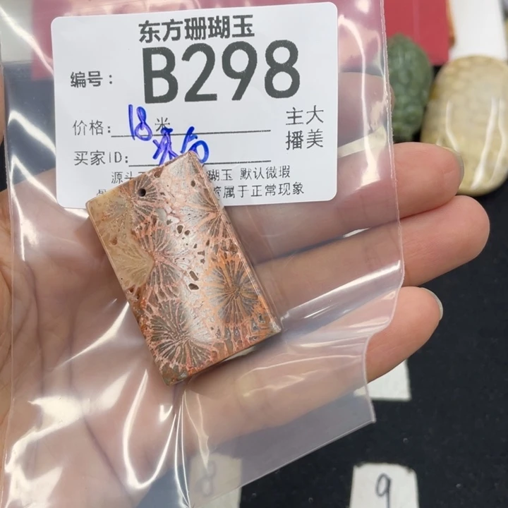 硅化珊瑚（珊瑚玉）颈饰合金粉*点