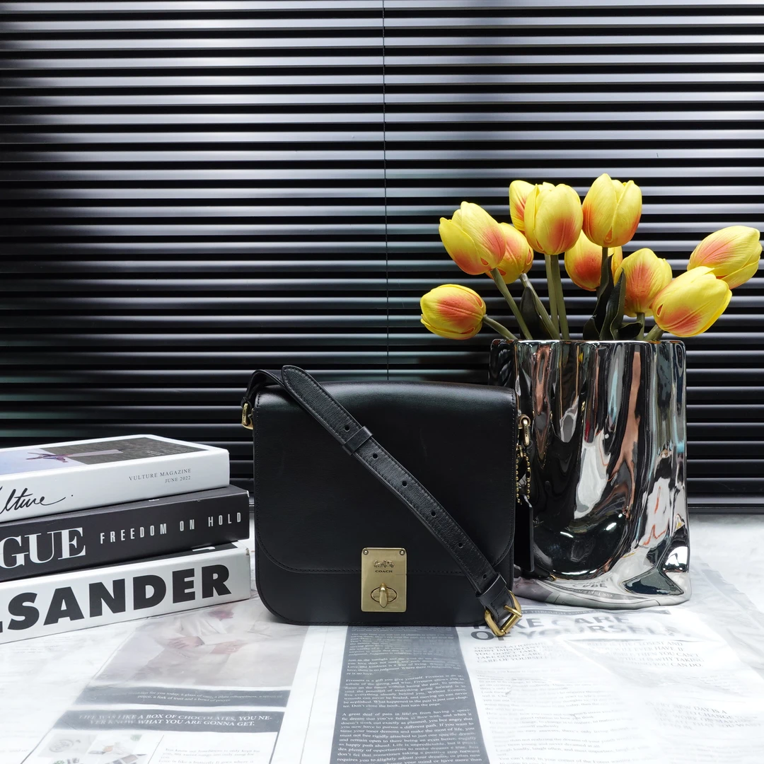 95新 COACH/蔻驰 单肩包/T10246212