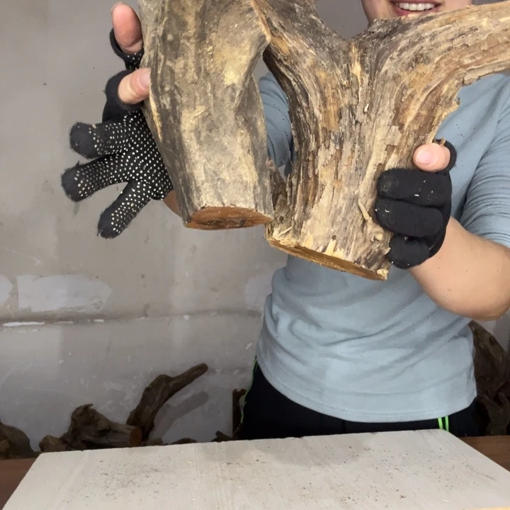 *****木太行崖柏摆件摆件