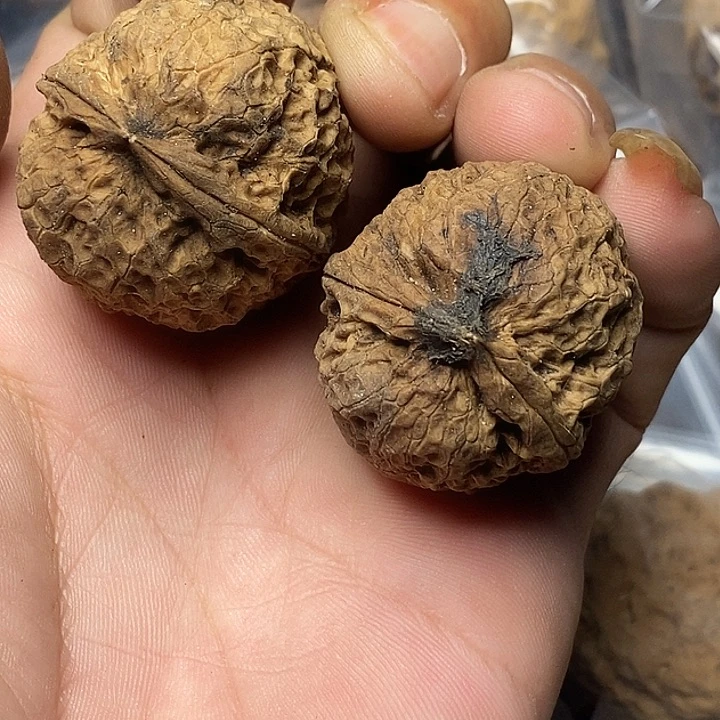 文玩核桃把件云南铁核桃51