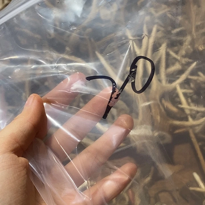 C***l石英石非金属鹿角鹿角