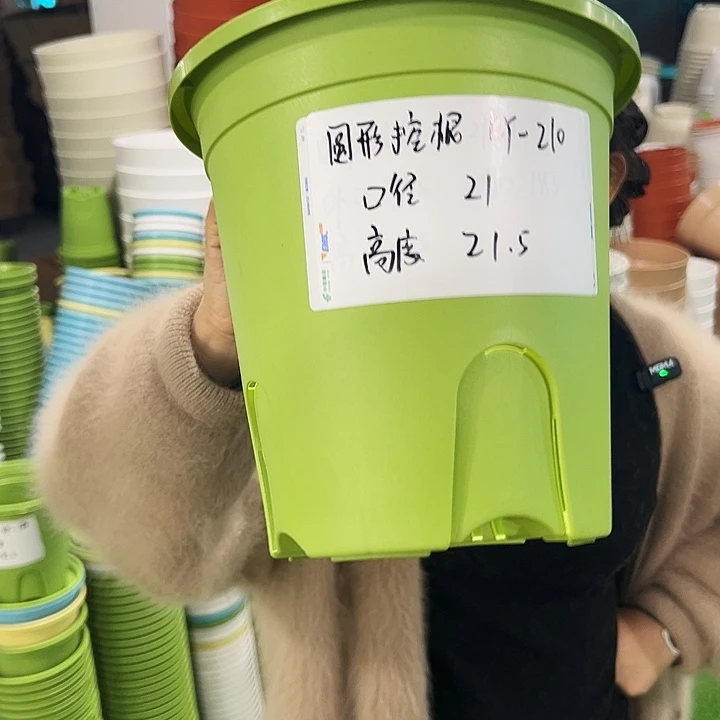 正品圆控口21高21果绿无托8只