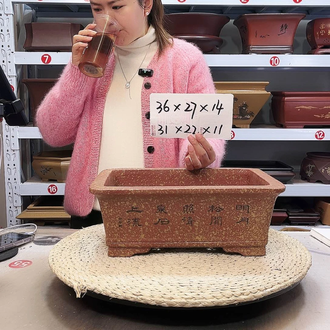 紫砂花盆紫砂花盆中