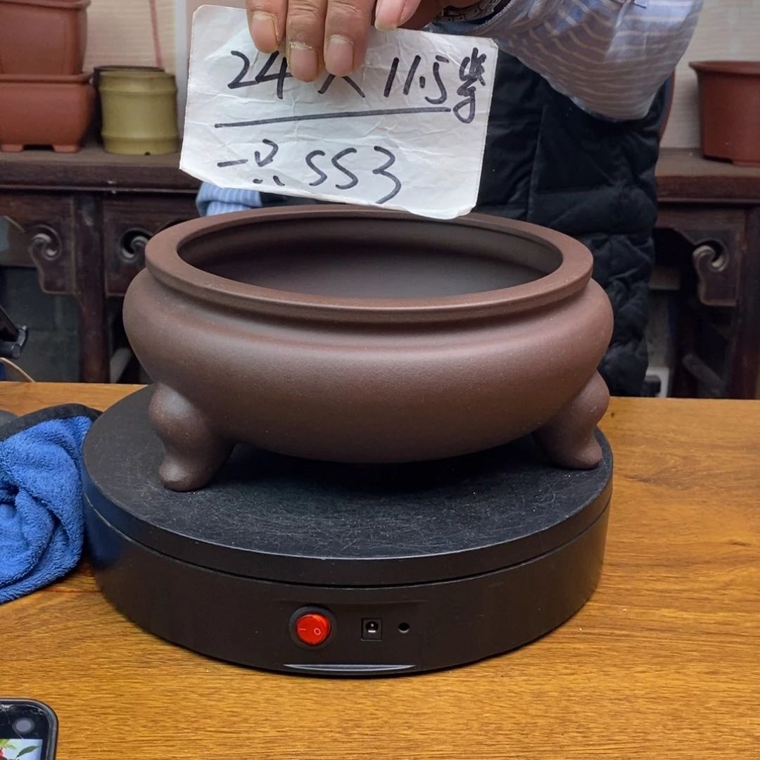 红陶货号一只SS3