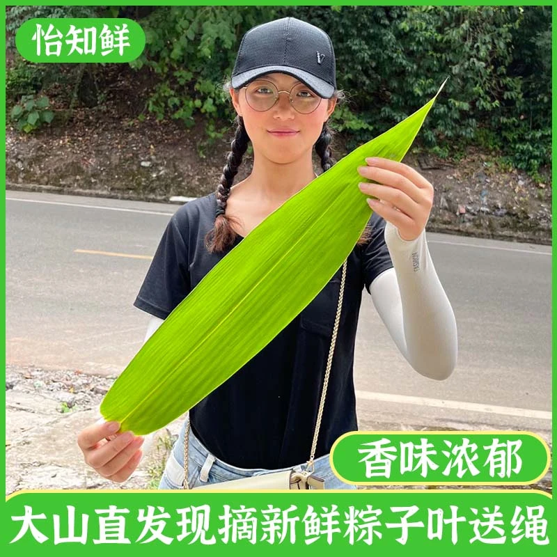 粽子叶大号新鲜粽叶箬竹叶现摘现发端午节包粽子的叶子送棉绳