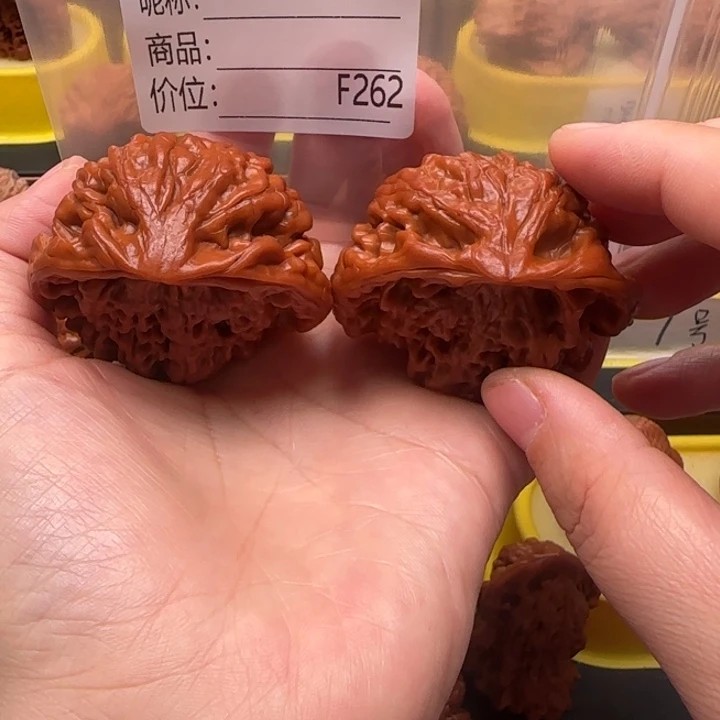 实***在核桃蛇王蛇王蛇王52