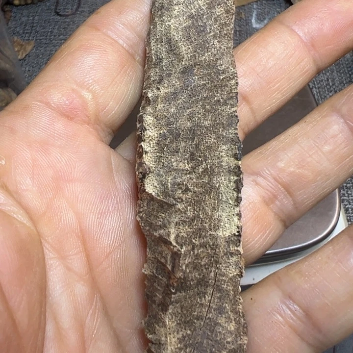 ✎***好沉香沉香碎屑野料沉香鸡母虫2克