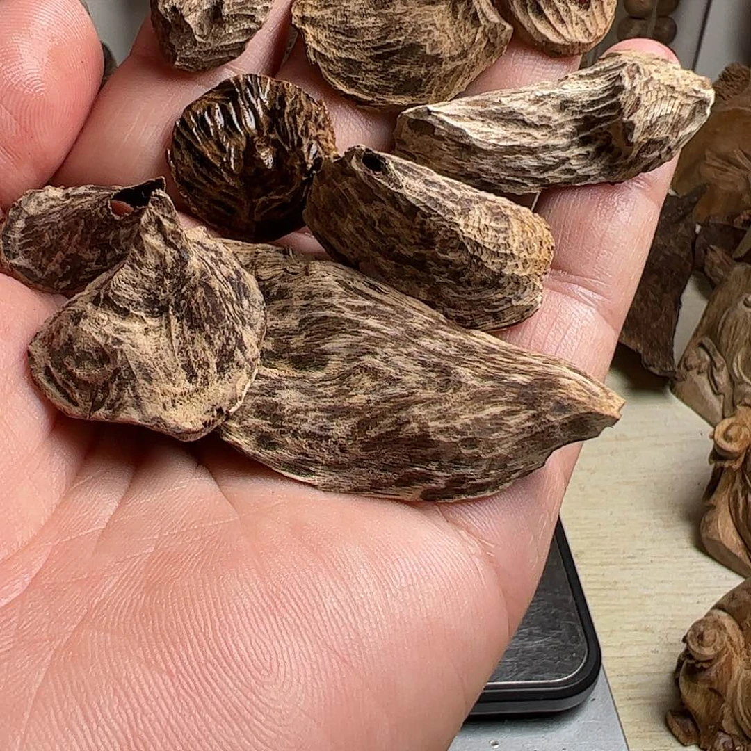 沉香沉香碎屑斯里兰卡耳朵料7克