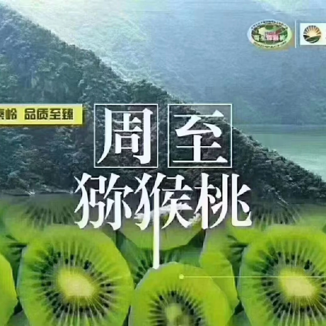 陕西周至翠香绿心猕猴桃新鲜香甜肉厚皮薄现摘水果