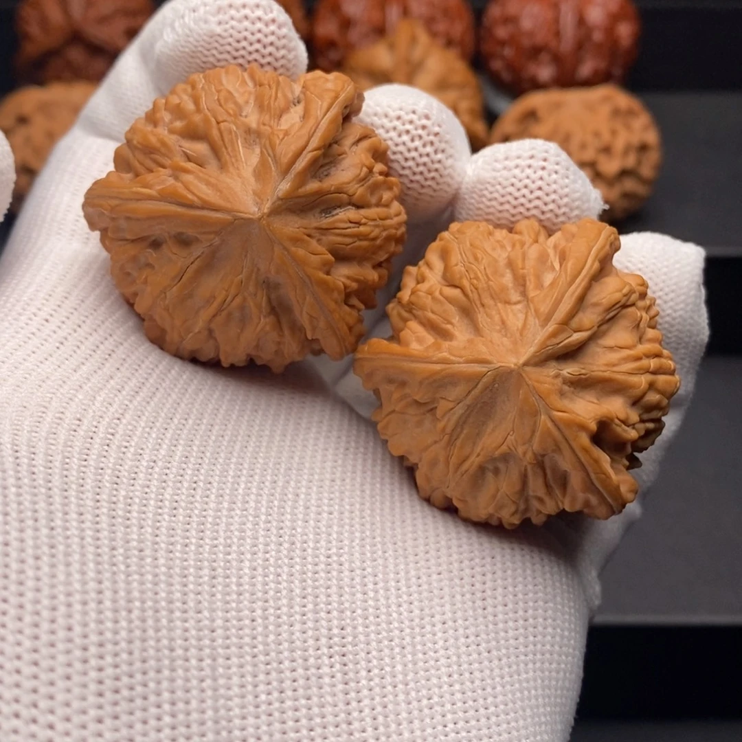 文玩核桃把件40尺全品御龙正奔