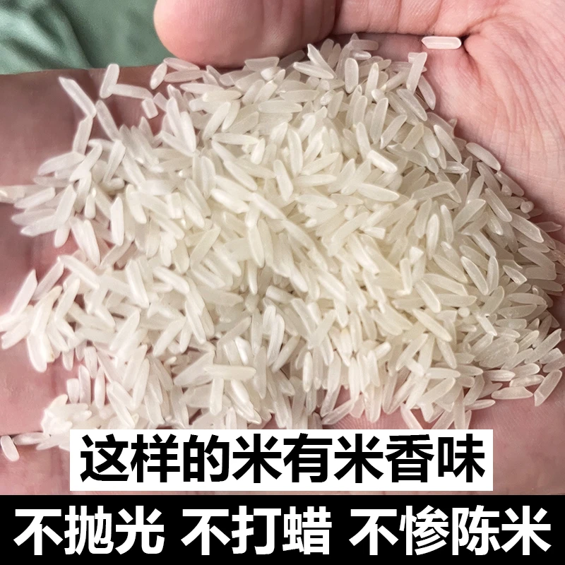 山瑶仔猫牙米2025新米农家餐厅稻田长粒清香甜2.5kg软糯丝苗米5kg