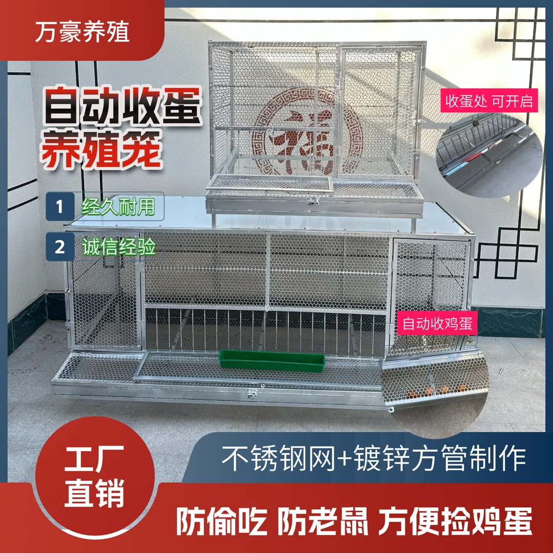 自动收蛋鸡笼户外防鼠防偷吃不锈钢网片镀锌方管制作加大空间