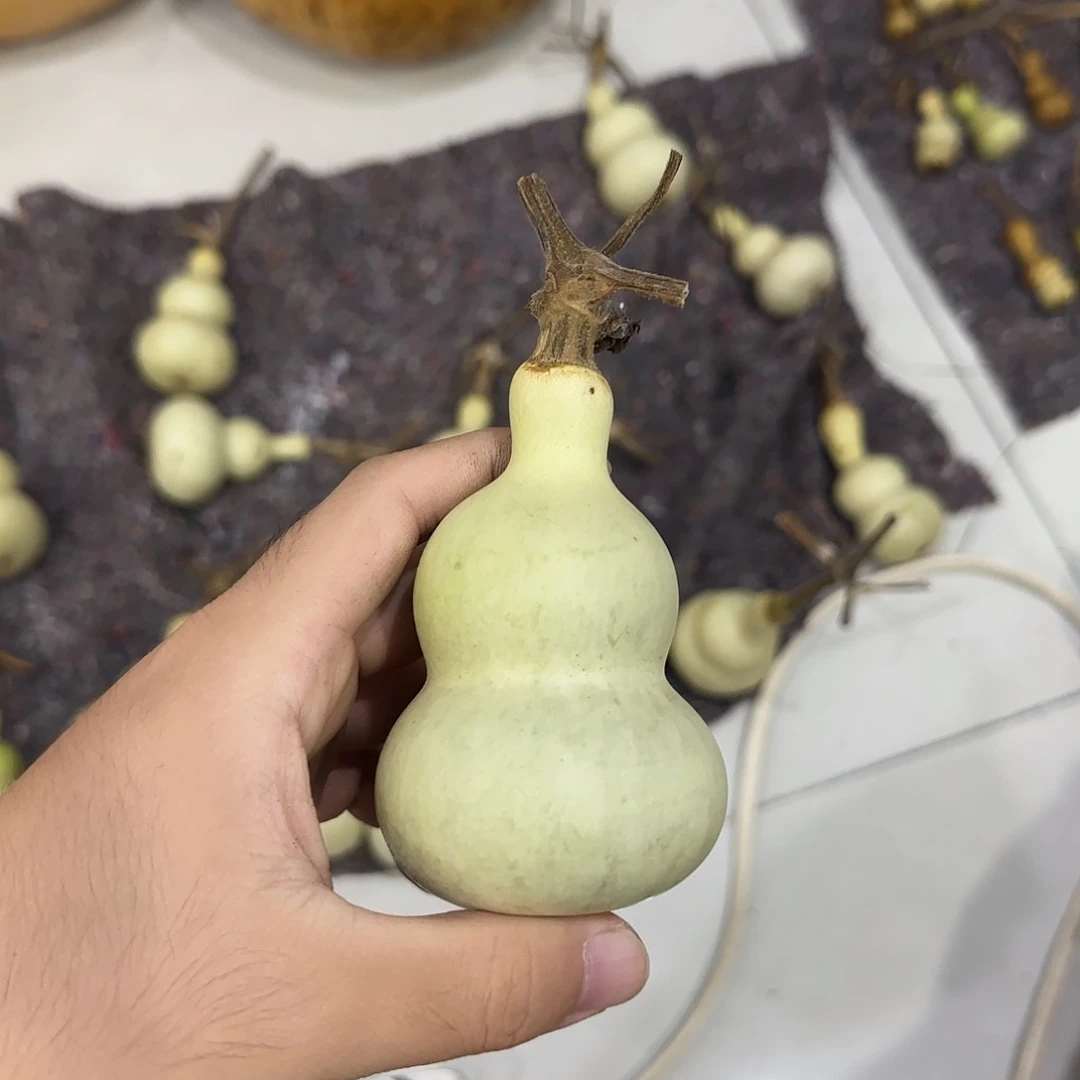 你***好葫芦djsjxnsnsnszn