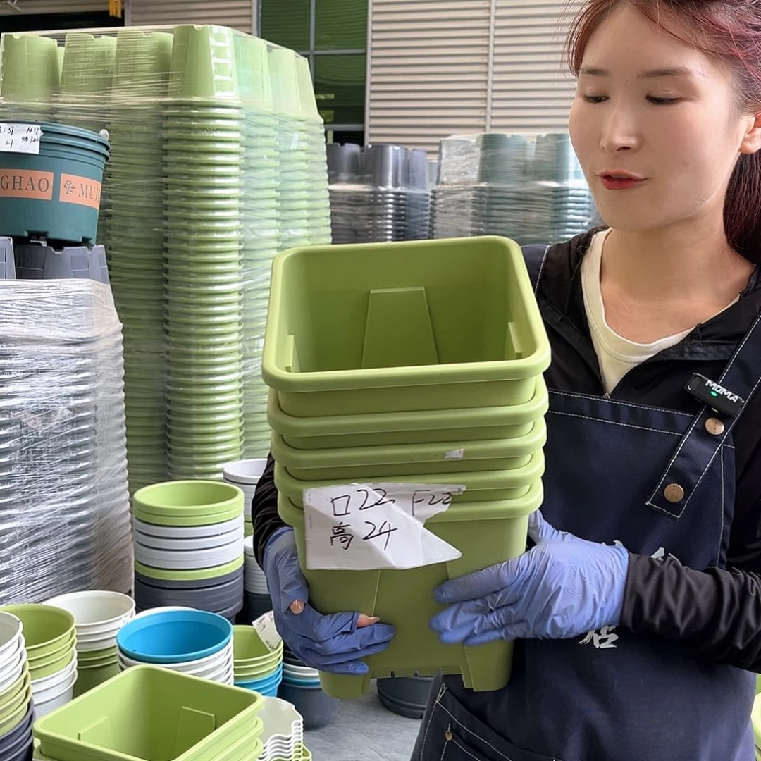 F22果绿色5个无托