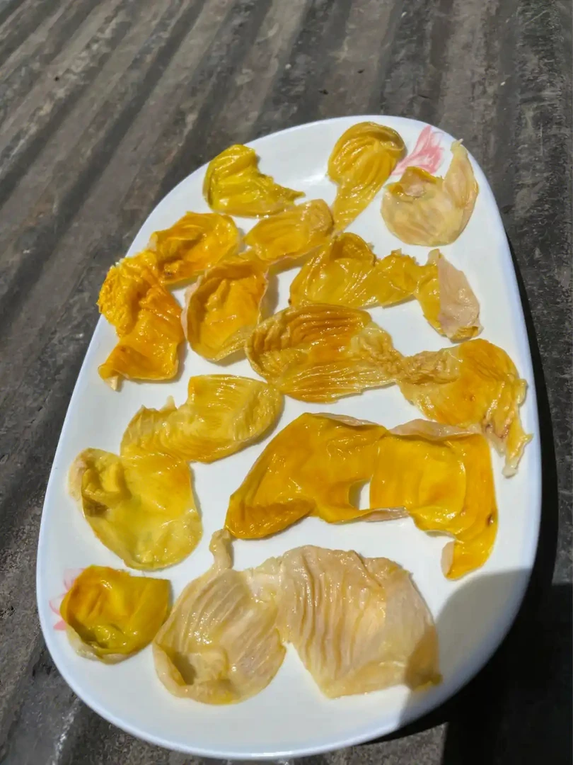 小杨专属≈[鸡≈内≈金]非香菇