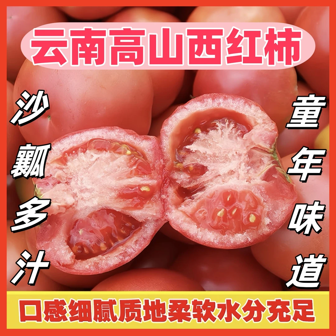 【云南高山西红柿】自然熟露天种植多汁酸甜可口西红柿新鲜美味