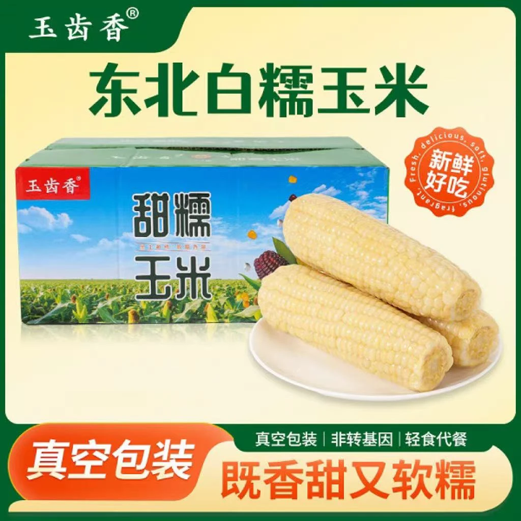 【今年头茬】（含试吃2支）玉齿香东北甜加糯白玉米8支（5斤）真空包装