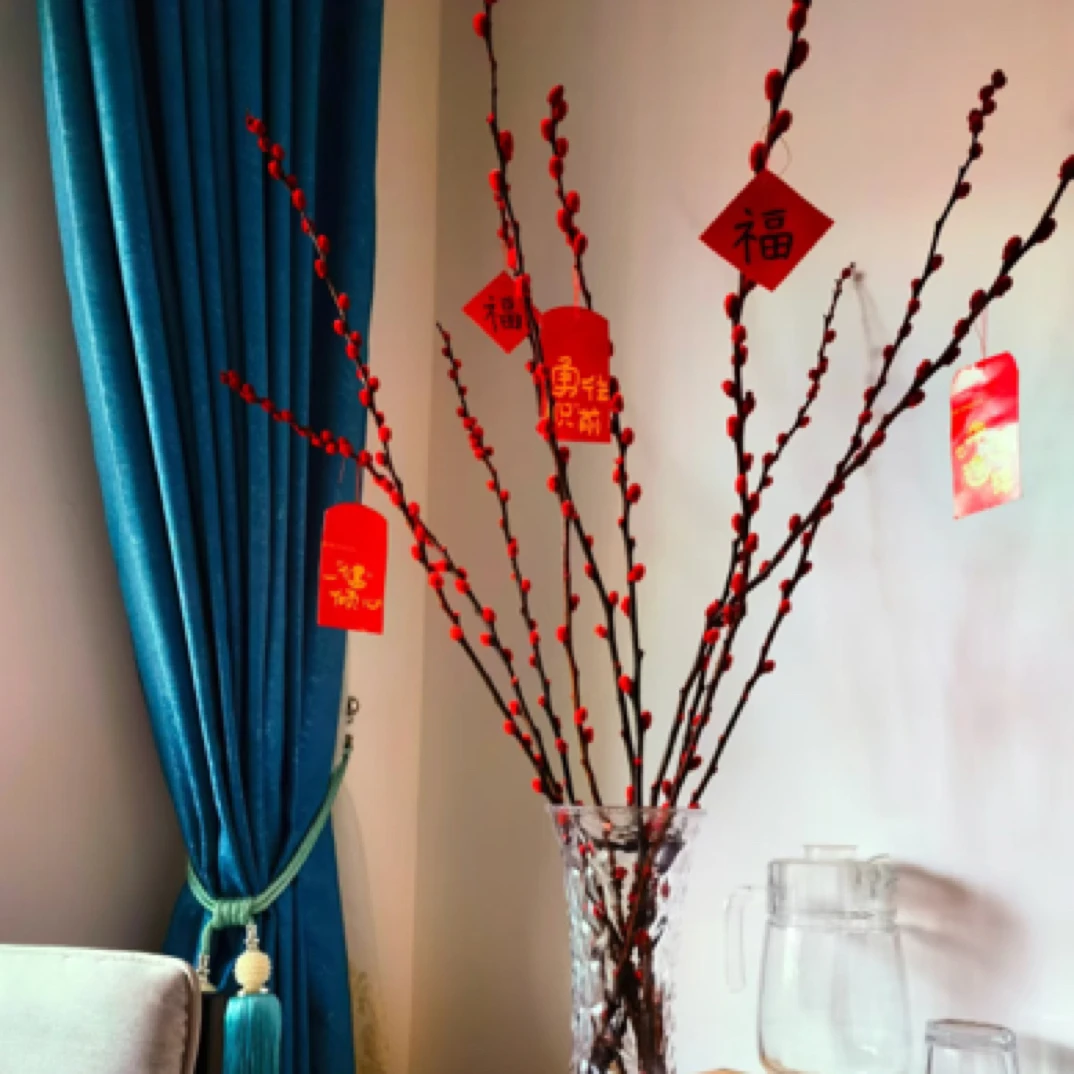 银柳 60cm 年宵花 瓶插花 送挂件 建议买3份