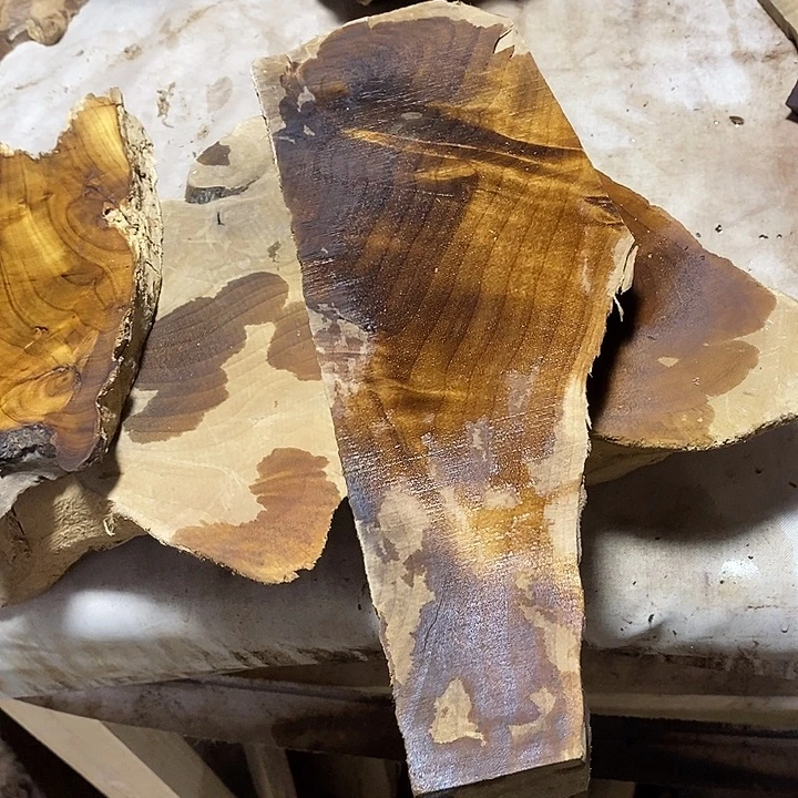 金丝楠木小叶桢楠木