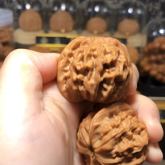 贰****J精品：天地狮子头