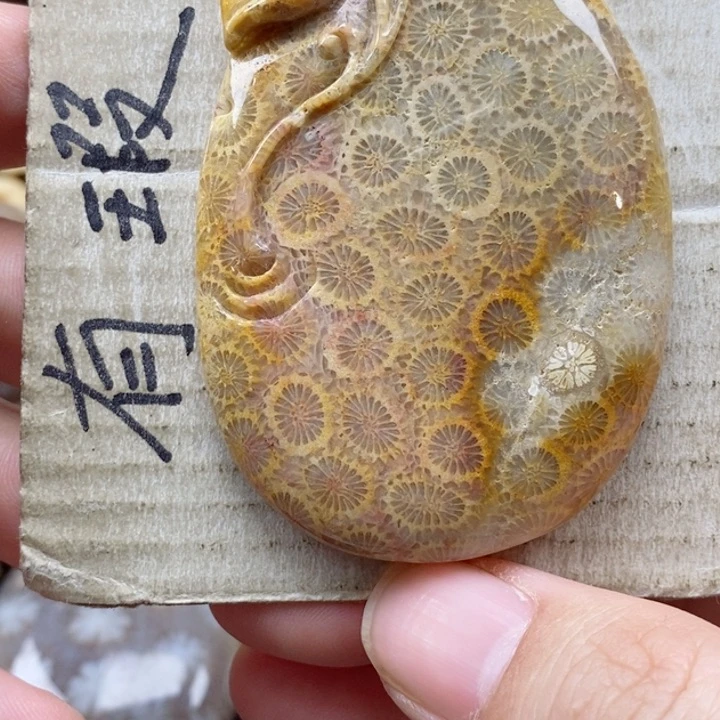 硅化珊瑚（珊瑚玉）颈饰未镶嵌