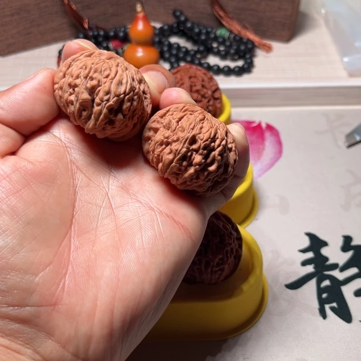 黑***果四座楼四座楼四座楼