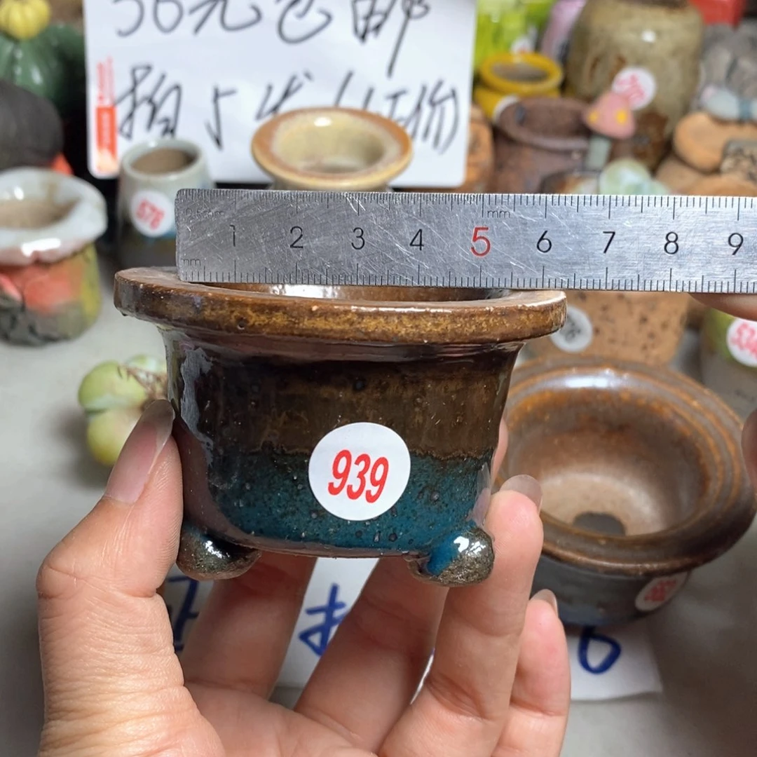 拍5送一个小礼物