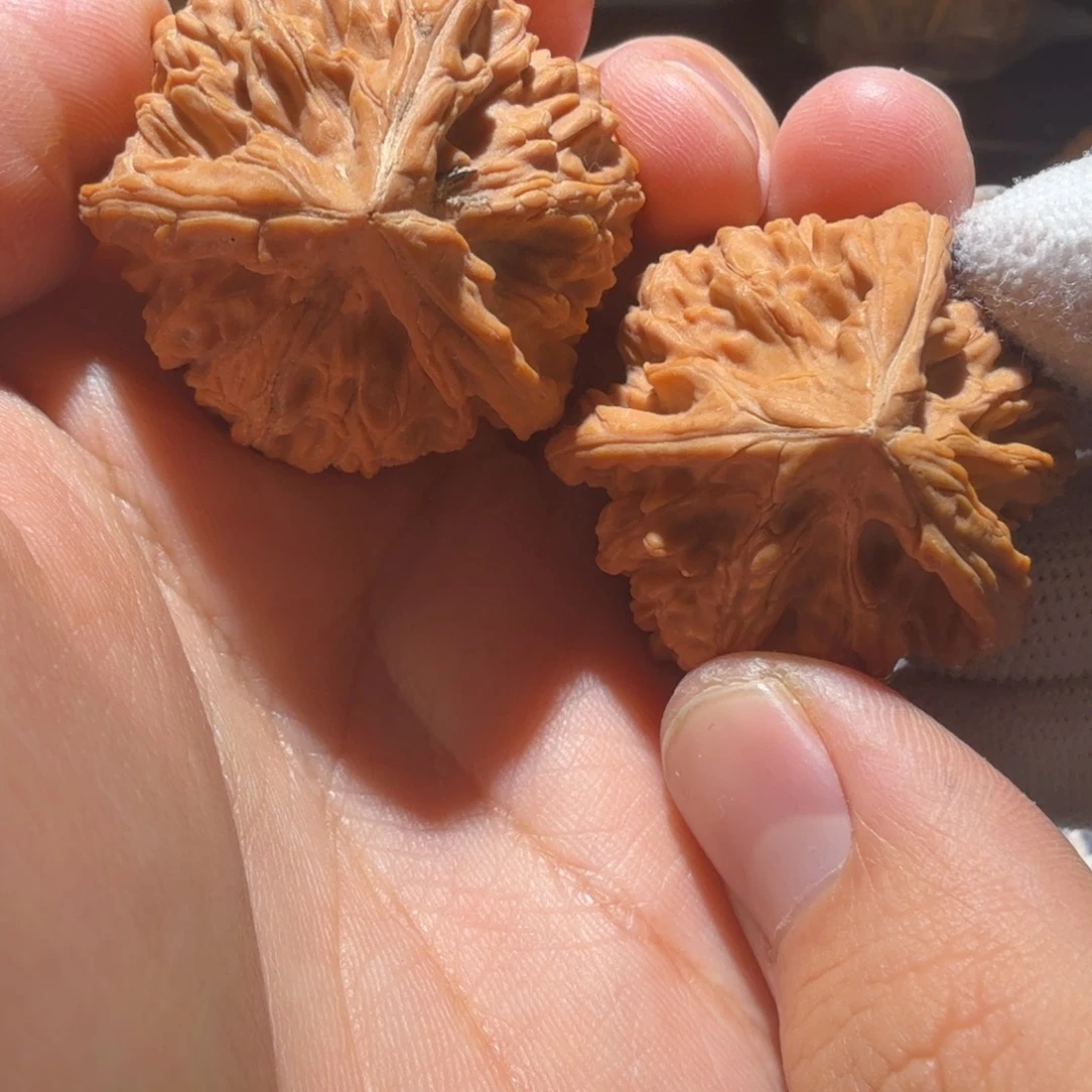 把件文玩核桃御龙正奔