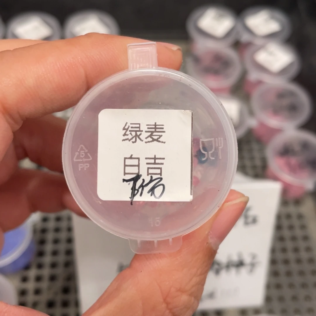 绿麦秆✖️白吉20粒，推荐新品