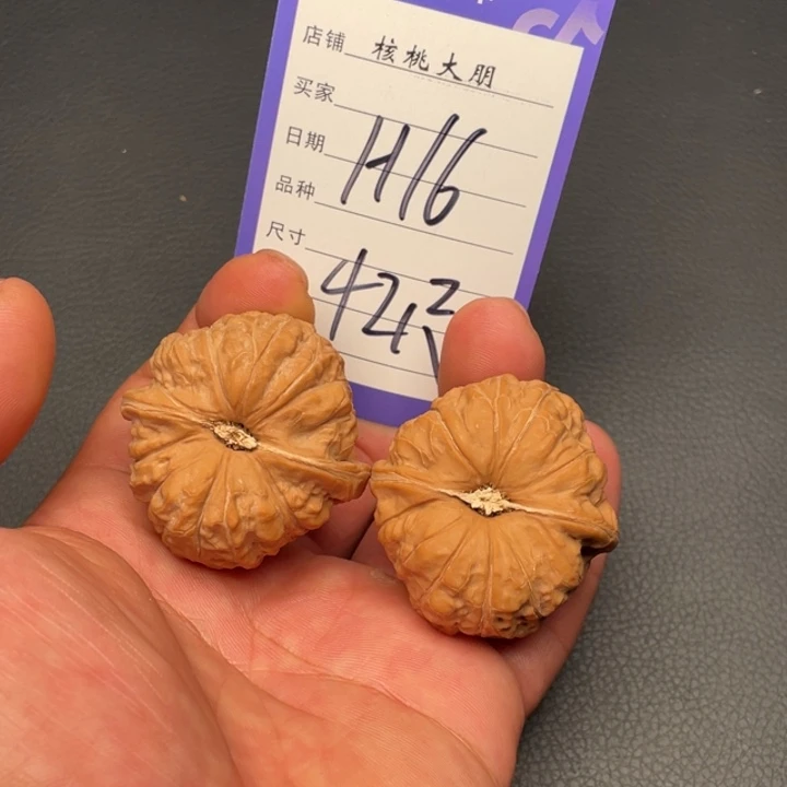 核桃南瓜42尺寸全品