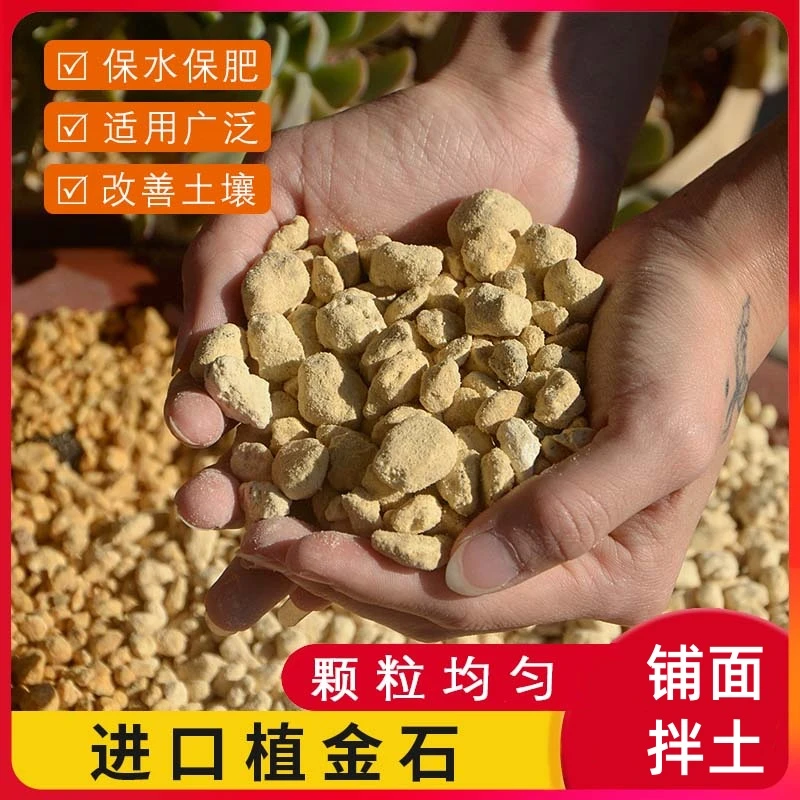 兰花铺面拌土营养土植金石兰花专用石料日本进口原装颗粒石萨摩土
