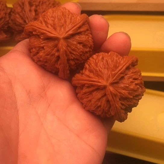 ·***张核桃核桃套核桃核桃