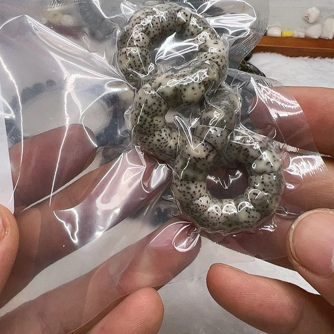 星月菩提手串11卓越糯冰石玉星月菩提单圈猪大肠10